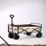 Outdoor utility wagon 10B Electric Model – Beige/Coffee Color Scooter