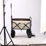 Outdoor utility wagon 10B Electric Model – Beige/Coffee Color Scooter