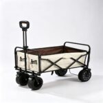 Outdoor utility wagon 10B Electric Model – Beige/Coffee Color Scooter
